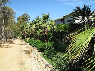 Cigno Bianco Sardinië - Tortolì visuel 6/7 Cigno Bianco Sardinië - Tortolì visuel 6/7