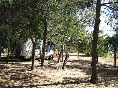 Cigno Bianco Sardinië - Tortolì visuel 7/7 Cigno Bianco Sardinië - Tortolì visuel 7/7