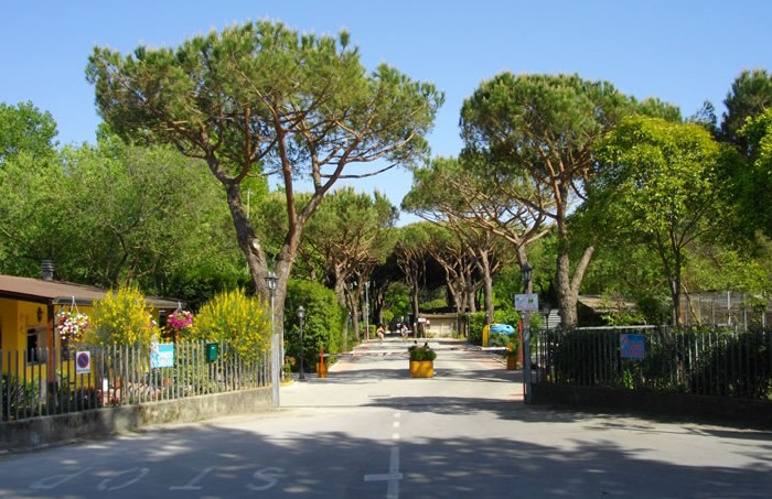 Dal Pino Toscane - Marina di Massa visuel 1/7 Dal Pino Toscane - Marina di Massa visuel 1/7