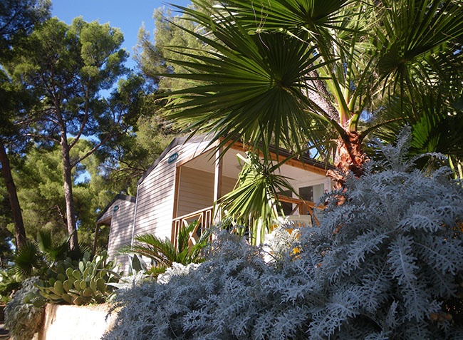 Le Ceyreste Provence-Alpes-Côte d'Azur - Ceyreste visuel 2/7 Le Ceyreste Provence-Alpes-Côte d'Azur - Ceyreste visuel 2/7