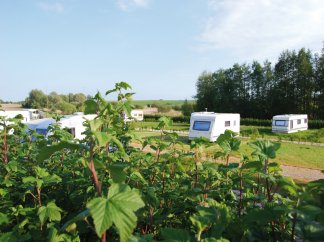 Camping de la Mottelette Picardië - Bos-Montiers visuel 2/8 Camping de la Mottelette Picardië - Bos-Montiers visuel 2/8