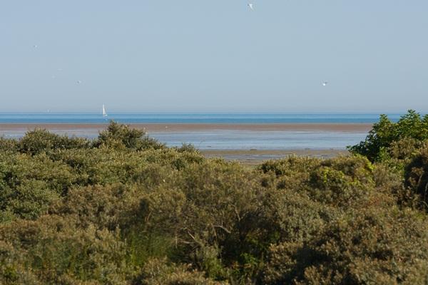 La Plage Nord-Pas De Calais - Marck visuel 9/10 La Plage Nord-Pas De Calais - Marck visuel 9/10