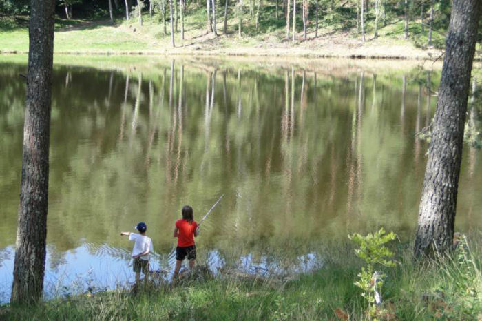 Camping de La Plage Limouqin - Soursac visuel 10/10 Camping de La Plage Limouqin - Soursac visuel 10/10