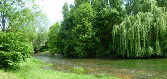 Camping de la Tête Noire Groot-Centrum - Buzançais visuel 2/3
