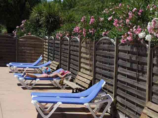 Camping de Montrose Languedoc-Roussillon - Pezenas visuel 10/11 Camping de Montrose Languedoc-Roussillon - Pezenas visuel 10/11