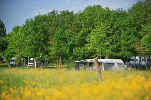 Camping de Tournus Bourgogne - Tournus visuel 2/8 Camping de Tournus Bourgogne - Tournus visuel 2/8