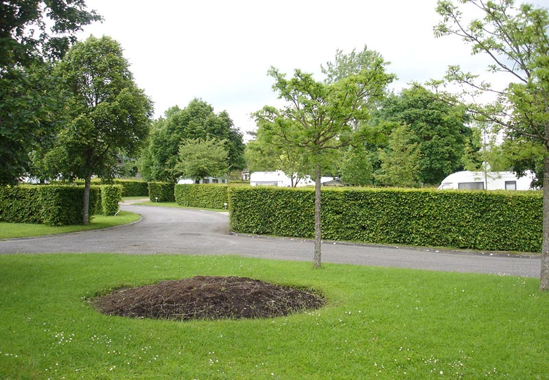 Camping De Vittel Lotharingen - Vittel visuel 2/10 Camping De Vittel Lotharingen - Vittel visuel 2/10