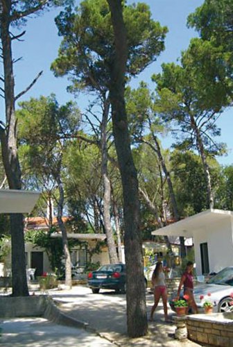 Diana & Josip Dalmatië - Biograd visuel 2/4 Diana & Josip Dalmatië - Biograd visuel 2/4