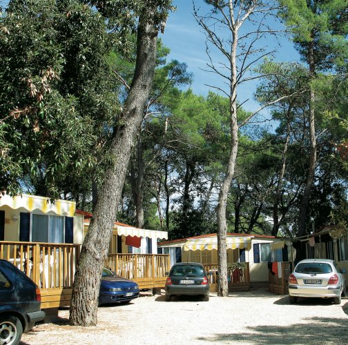 Diana & Josip Dalmatië - Biograd visuel 3/4 Diana & Josip Dalmatië - Biograd visuel 3/4