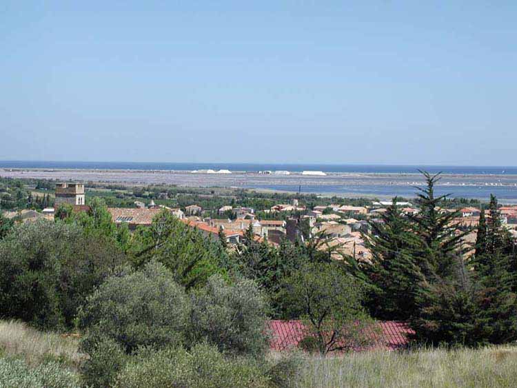 Domaine de la Palme Languedoc-Roussillon - De Palme visuel 9/10 Domaine de la Palme Languedoc-Roussillon - De Palme visuel 9/10