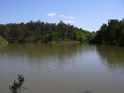 Domaine Etang De Bazange Aquitaine - Monfaucon visuel 6/10 Domaine Etang De Bazange Aquitaine - Monfaucon visuel 6/10