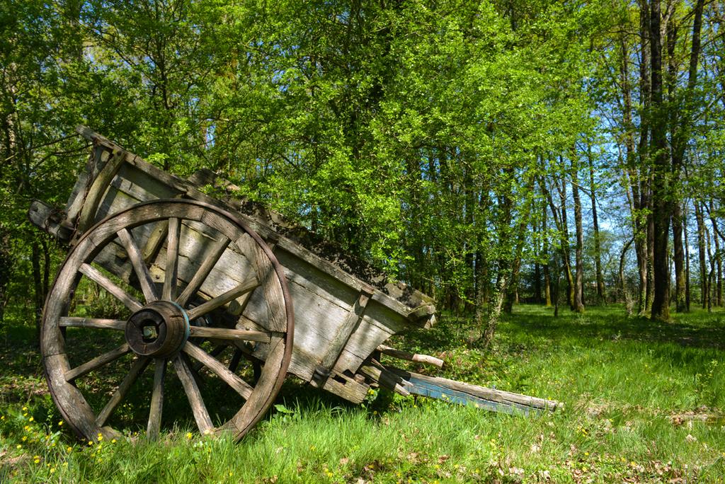 Domaine de l’Oiselière Pays de Loire - Chauché visuel 16/20 Domaine de l’Oiselière Pays de Loire - Chauché visuel 16/20