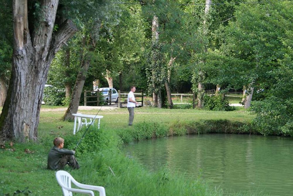 Domaine de Néguenou Aquitaine - Bidssas visuel 8/10 Domaine de Néguenou Aquitaine - Bidssas visuel 8/10