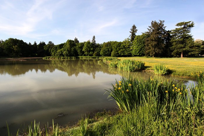 Domaine de Seillac Groot-Centrum - Seillac visuel 2/10 Domaine de Seillac Groot-Centrum - Seillac visuel 2/10