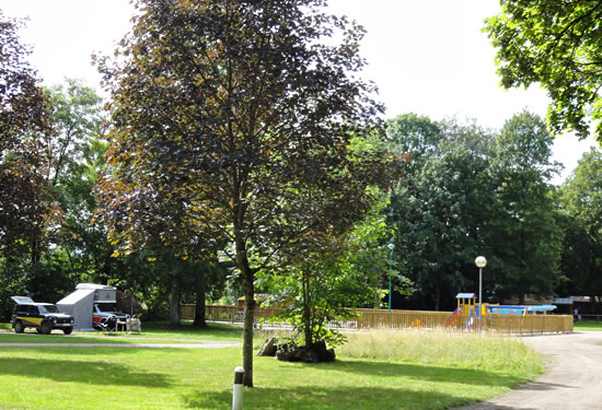Le Buisson Champagne-Ardennen - Louvemont visuel 2/10 Le Buisson Champagne-Ardennen - Louvemont visuel 2/10