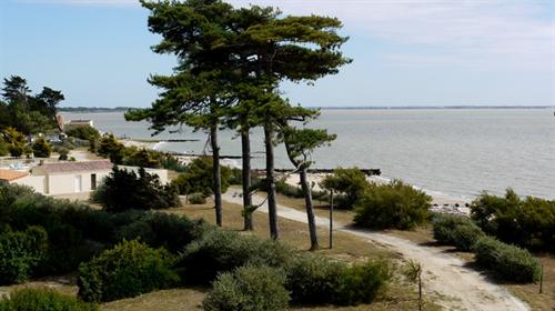 La Plage Pays de Loire - Les Moutiers en Retz visuel 4/10 La Plage Pays de Loire - Les Moutiers en Retz visuel 4/10