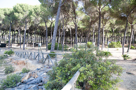 Doñarrayan Park Andalousië - Hinojosa visuel 1/4