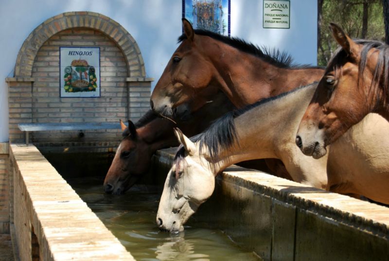 Doñarrayan Park Andalousië - Hinojosa visuel 3/4