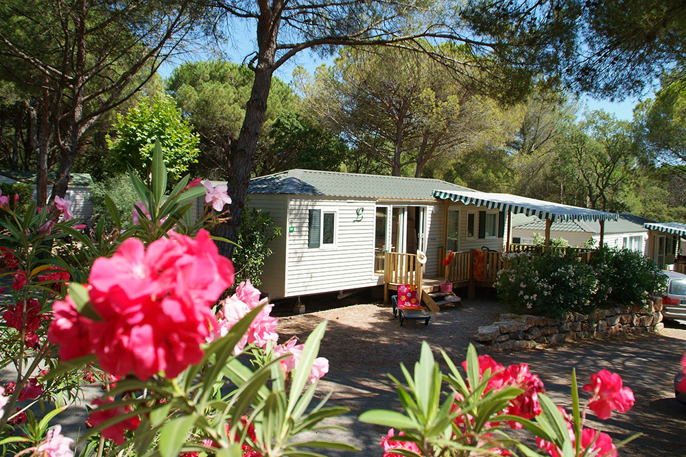 Douce Quiétude Provence-Alpes-Côte d'Azur - Saint-Raphaël visuel 19/24