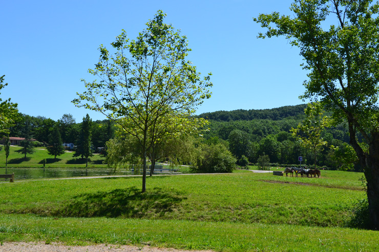 Camping du Lac de Parisot Midi-Pyreneën - Parisot visuel 5/6 Camping du Lac de Parisot Midi-Pyreneën - Parisot visuel 5/6