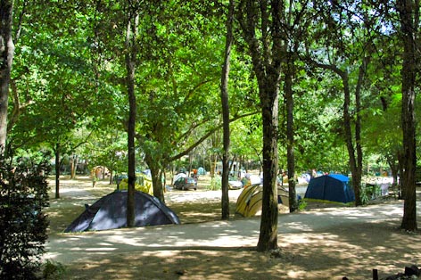 Camping Du Pont D'arc Rhône-Alpes - Vallon-Pont-d'Arc visuel 3/5 Camping Du Pont D'arc Rhône-Alpes - Vallon-Pont-d'Arc visuel 3/5