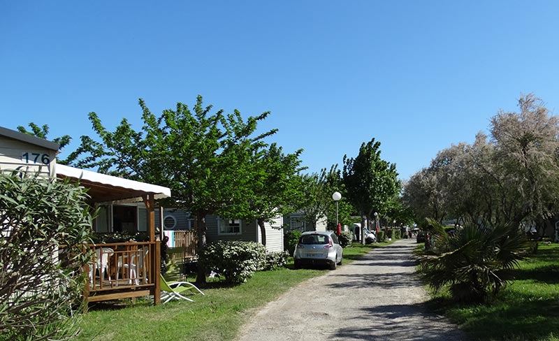 Eden Camping Languedoc-Roussillon - Lattes visuel 11/11 Eden Camping Languedoc-Roussillon - Lattes visuel 11/11