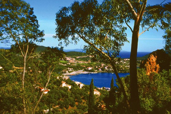 Esterel Caravaning Provence-Alpes-Côte d'Azur - Agay visuel 7/16 Esterel Caravaning Provence-Alpes-Côte d'Azur - Agay visuel 7/16