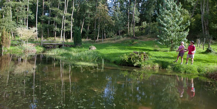 L'ETANG DE LA FOUGERAIE Bourgogne - Saint-Léger-de-Fougeret visuel 6/10 L'ETANG DE LA FOUGERAIE Bourgogne - Saint-Léger-de-Fougeret visuel 6/10