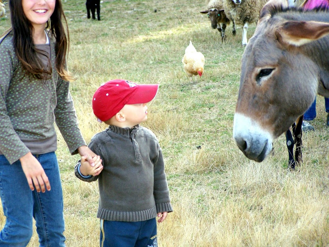 Ferme De Prunay Groot-Centrum - Seillac visuel 7/11 Ferme De Prunay Groot-Centrum - Seillac visuel 7/11