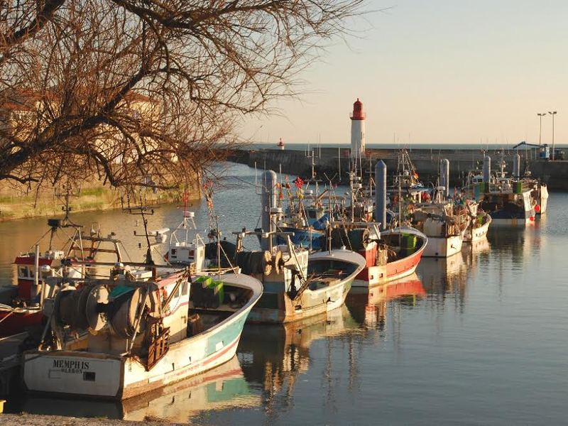 LA PIERRIERE Poitou-Charentes - Saint-Pierre-d'Oléron visuel 3/4 LA PIERRIERE Poitou-Charentes - Saint-Pierre-d'Oléron visuel 3/4