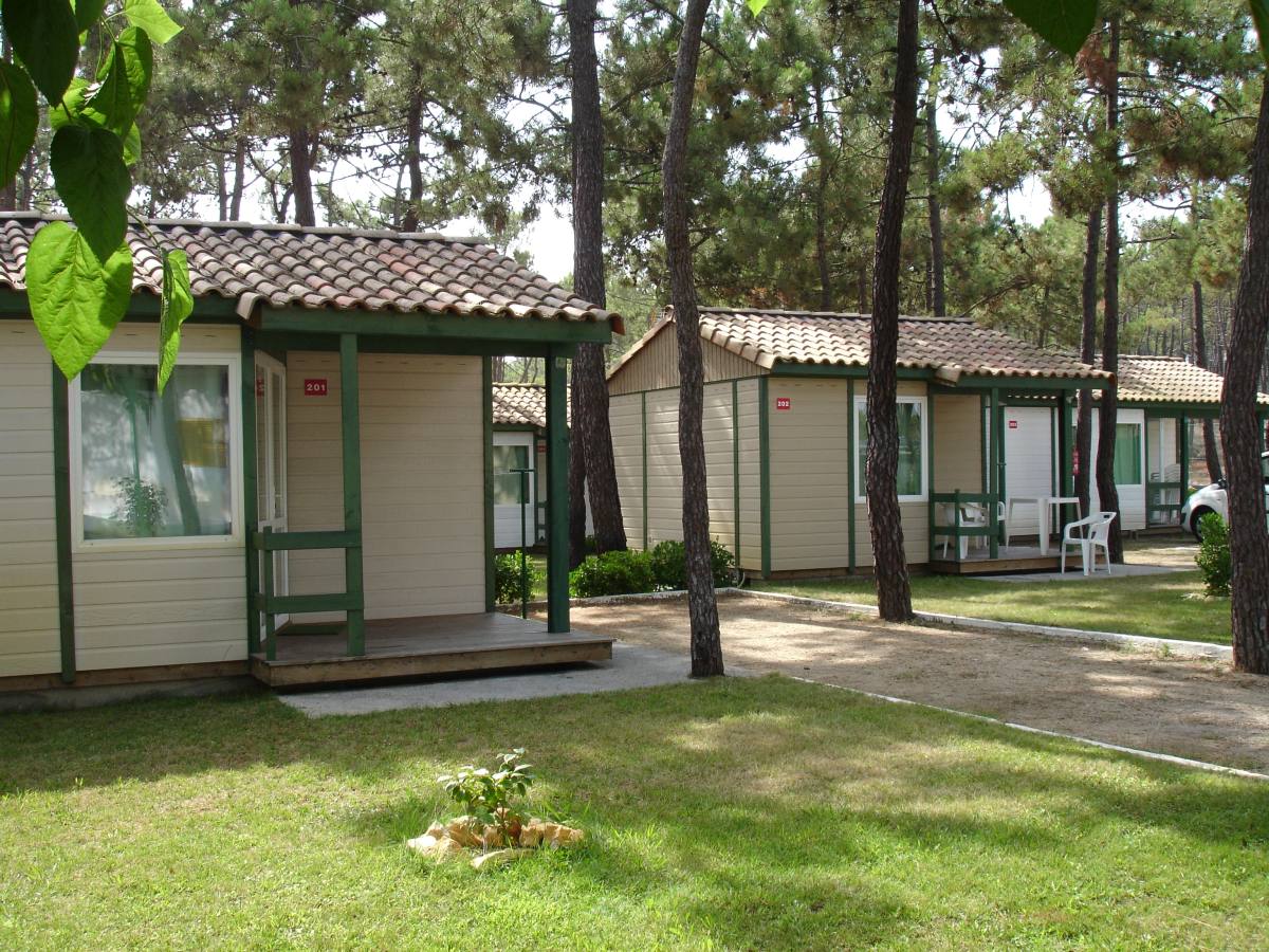 Gala Centrum - Figueira da Foz visuel 4/7 Gala Centrum - Figueira da Foz visuel 4/7