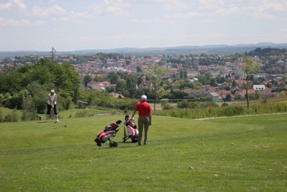 Hameau de Gîtes Lotharingen - Sarrebourg visuel 6/9 Hameau de Gîtes Lotharingen - Sarrebourg visuel 6/9