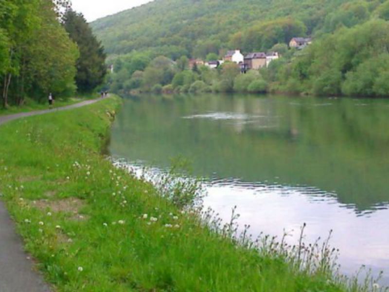 CAMP DEPARTEMENTAL D'HAULME Champagne-Ardennen - Haulmé visuel 7/7 CAMP DEPARTEMENTAL D'HAULME Champagne-Ardennen - Haulmé visuel 7/7
