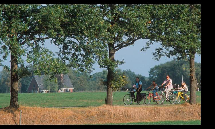 het Wieskamp Gelderland - Henxel visuel 2/4 het Wieskamp Gelderland - Henxel visuel 2/4