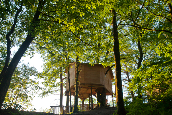 Hêtre sous le Charme Limouqin - Saint-Martial-Entraygues visuel 4/10 Hêtre sous le Charme Limouqin - Saint-Martial-Entraygues visuel 4/10