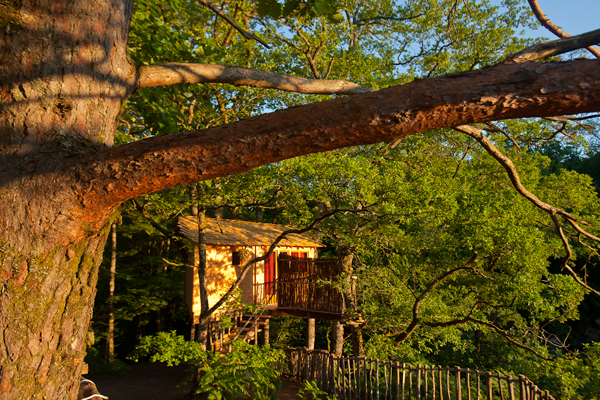 Hêtre sous le Charme Limouqin - Saint-Martial-Entraygues visuel 5/10 Hêtre sous le Charme Limouqin - Saint-Martial-Entraygues visuel 5/10