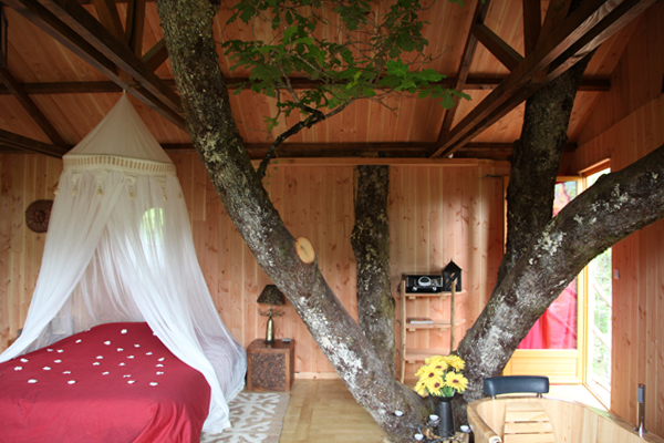 Hêtre sous le Charme Limouqin - Saint-Martial-Entraygues visuel 6/10 Hêtre sous le Charme Limouqin - Saint-Martial-Entraygues visuel 6/10