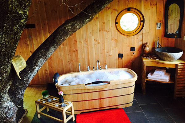 Hêtre sous le Charme Limouqin - Saint-Martial-Entraygues visuel 8/10 Hêtre sous le Charme Limouqin - Saint-Martial-Entraygues visuel 8/10