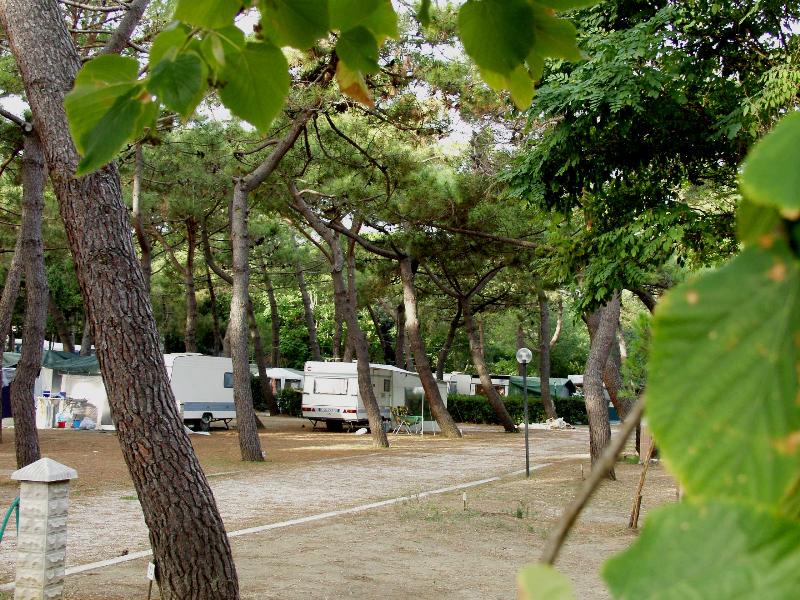 Il Capannino Toscane - Jachthaven Bibbona visuel 4/7 Il Capannino Toscane - Jachthaven Bibbona visuel 4/7