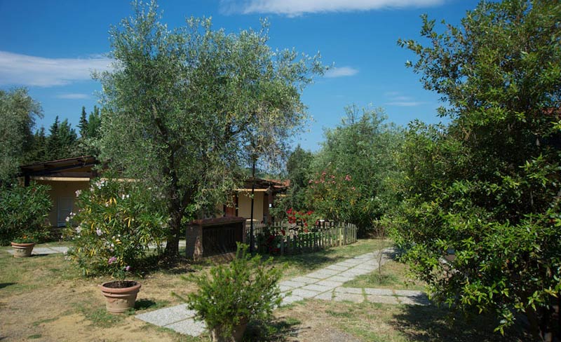 Il Fontino Toscane - Scarlino visuel 5/10 Il Fontino Toscane - Scarlino visuel 5/10