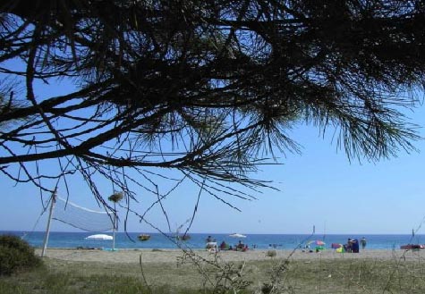 Kalypso Corsica - Santa-Maria-Poggio visuel 1/1 Kalypso Corsica - Santa-Maria-Poggio visuel 1/1