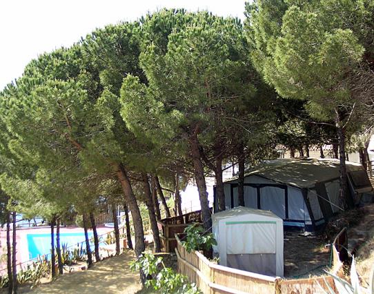 Kanguro Costa Brava - Sant Pol de Mar visuel 6/11 Kanguro Costa Brava - Sant Pol de Mar visuel 6/11
