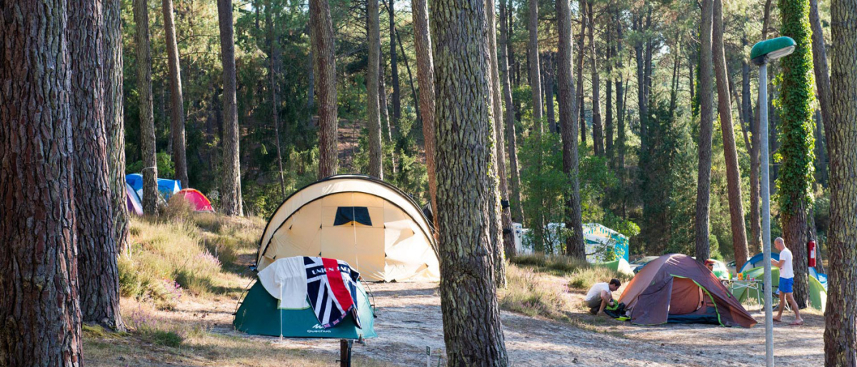 l'Etang Blanc Aquitaine - Seignosse visuel 5/5 l'Etang Blanc Aquitaine - Seignosse visuel 5/5