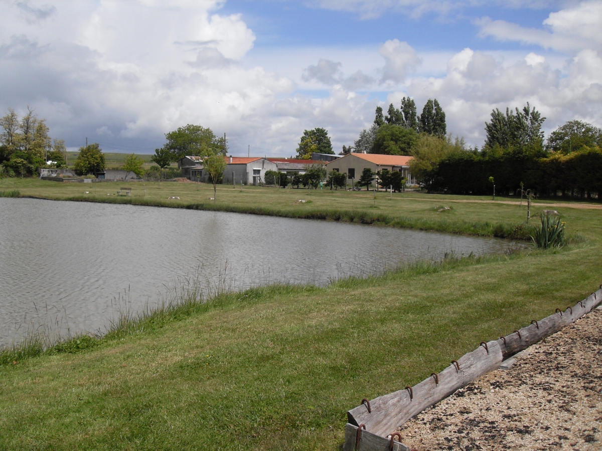 LA BAIE DE CHANDORAT Poitou-Charentes - Barzan visuel 1/1 LA BAIE DE CHANDORAT Poitou-Charentes - Barzan visuel 1/1