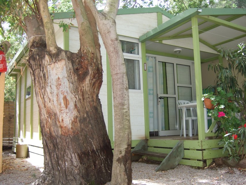 La Cle Des Champs Corsica - Calvi visuel 5/7