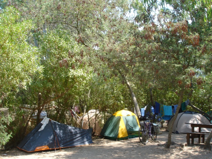 La Cle Des Champs Corsica - Calvi visuel 7/7