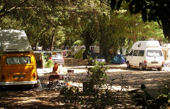 La Clere Pays de Loire - Noirmoutier-en-Île visuel 3/3 La Clere Pays de Loire - Noirmoutier-en-Île visuel 3/3