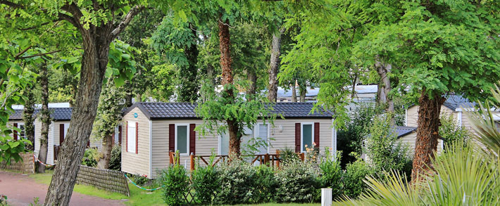 La Ferme Poitou-Charentes - Sint-Augustinus visuel 13/27 La Ferme Poitou-Charentes - Sint-Augustinus visuel 13/27