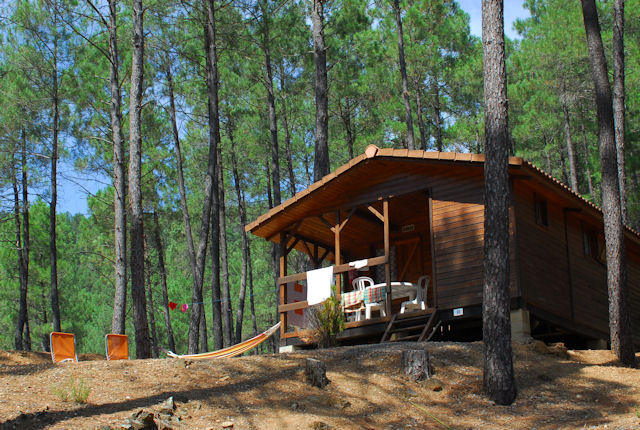 La Foret Languedoc-Roussillon - Saint-Jean-du-Gard visuel 5/6 La Foret Languedoc-Roussillon - Saint-Jean-du-Gard visuel 5/6