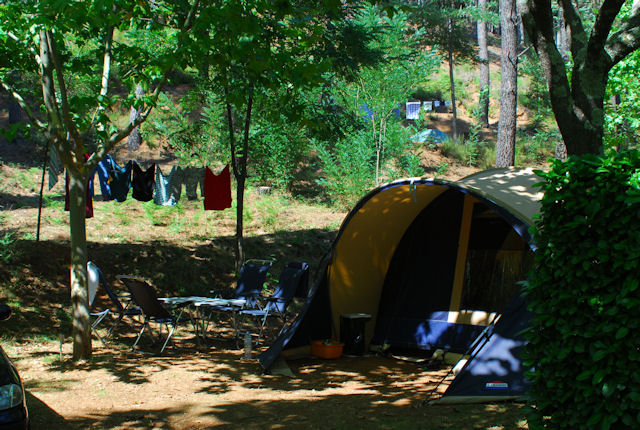 La Foret Languedoc-Roussillon - Saint-Jean-du-Gard visuel 6/6 La Foret Languedoc-Roussillon - Saint-Jean-du-Gard visuel 6/6